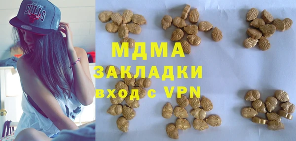 индика Богородицк