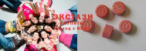 индика Богородицк