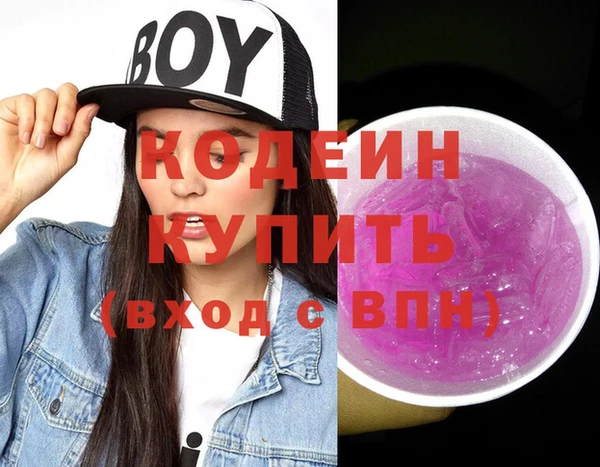 индика Богородицк
