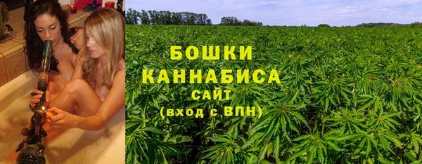 индика Богородицк