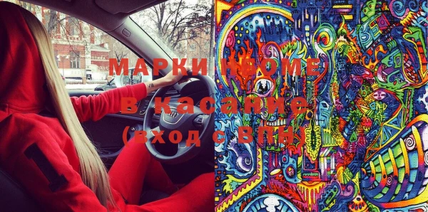 индика Богородицк