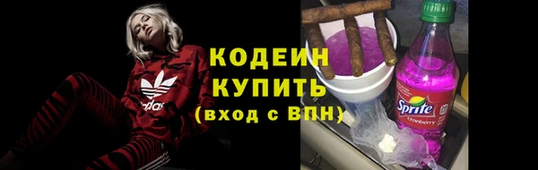 твердый Богданович