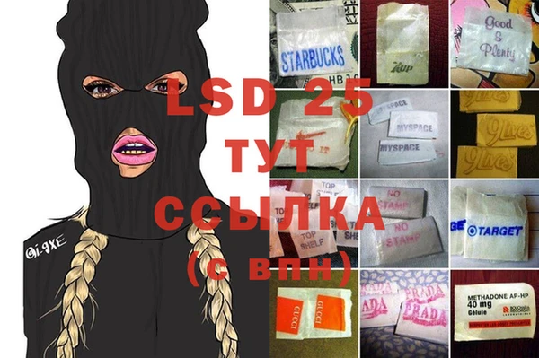 твердый Богданович