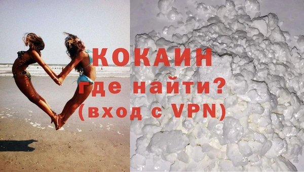 индика Богородицк
