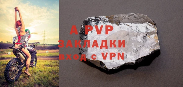 индика Богородицк