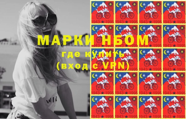 индика Богородицк