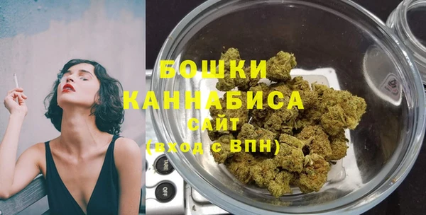 индика Богородицк