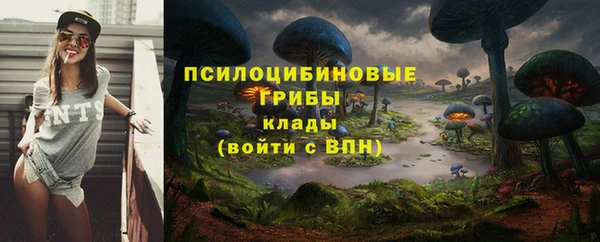 твердый Богданович