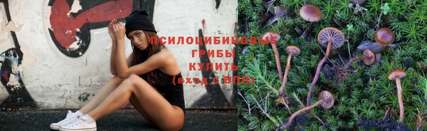 индика Богородицк