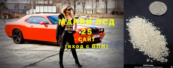 индика Богородицк