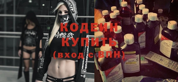 индика Богородицк