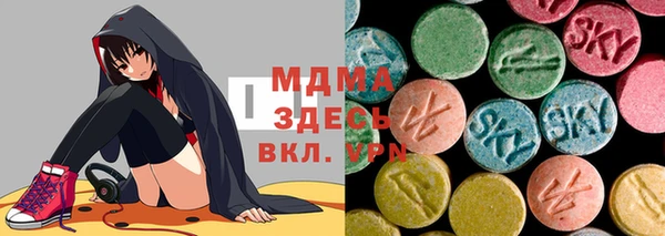 индика Богородицк